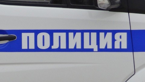 В Стародубском районе полицейские задержали дачного вора